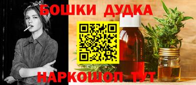 мдпв Будённовск