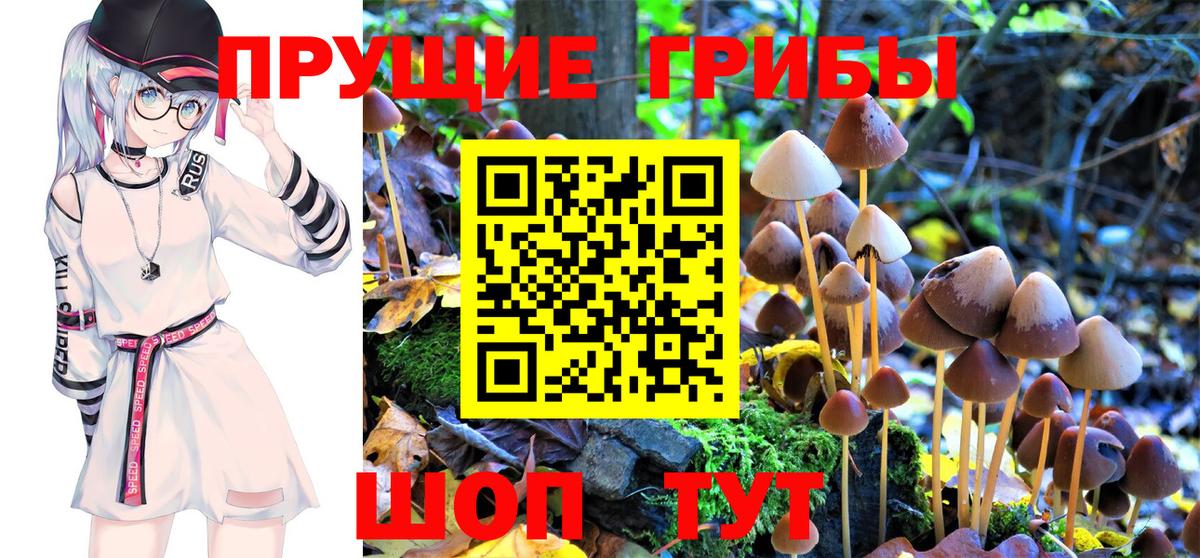 Галлюциногенные грибы Magic Shrooms Морозовск